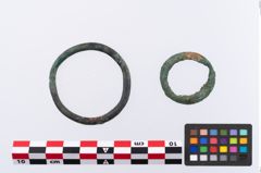 Foto von Bronzering (NHMW-PRAE-002311)